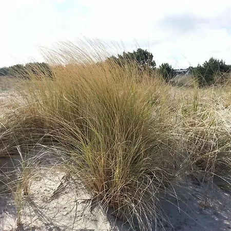 Apartment Dune 18 On The