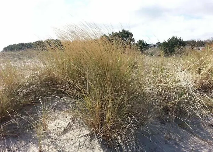 Apartment Dune 18 On The